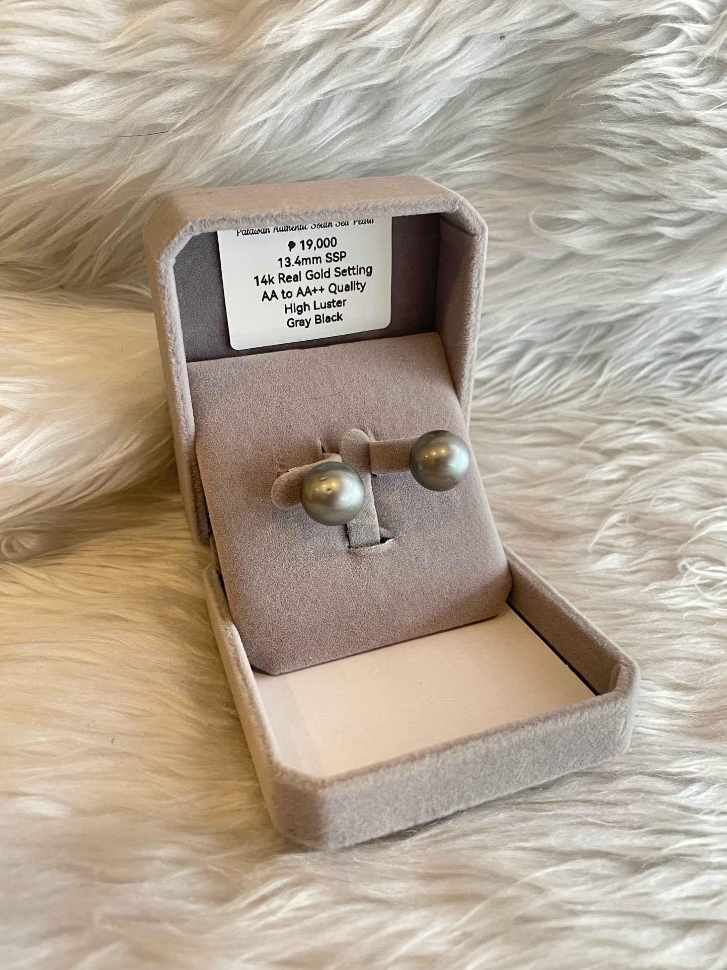 13.4mm Authentic Gray Black South Sea Pearl Earrings in 14k Real Gold Settings