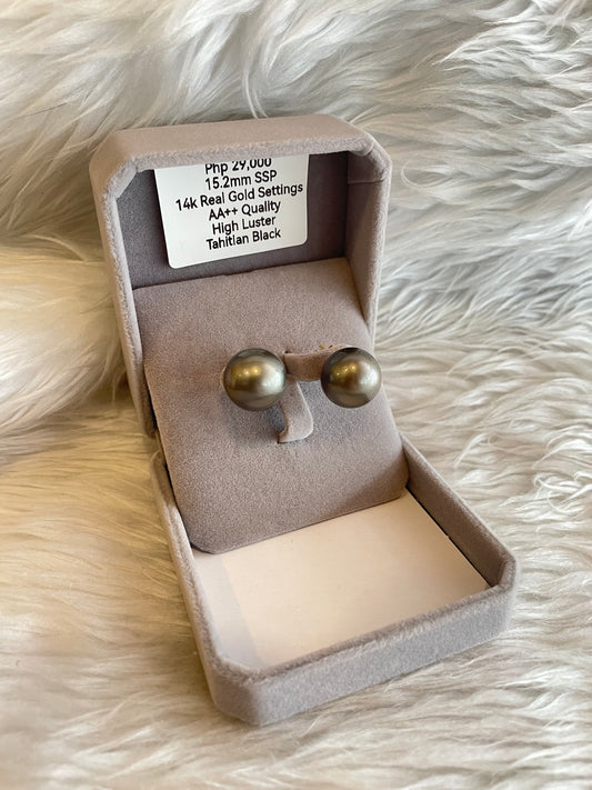 15.2mm Authentic Tahitian Black Color South Sea Pearl Earrings in 14k Real Gold Settings