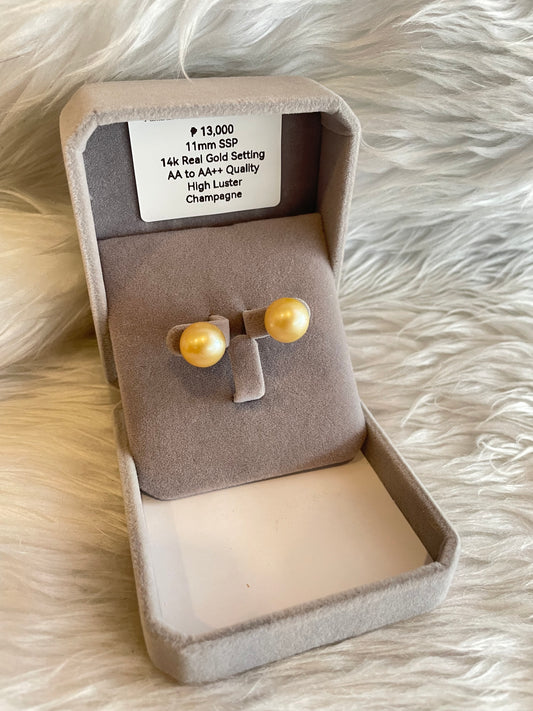 11mm Authentic Champagne Color South Sea Pearl Earrings in 14k Real Gold Settings
