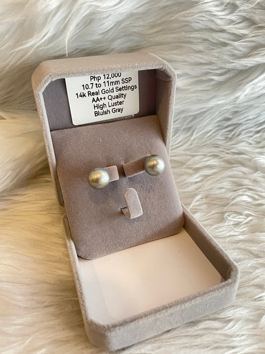 10.7mm to 11mm Authentic Bluish Gray Color South Sea Pearl Earrings in 14k Real Gold Settings