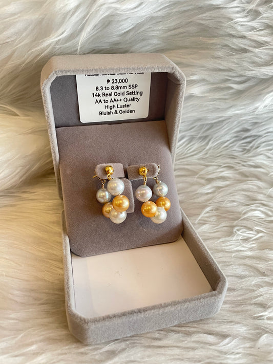 8.3mm to 8.8mm Authentic Bluish and Golden Color South Sea Pearl Earrings in 14k Real Gold Settings