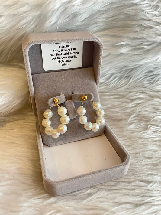 7.9mm to 8.5mm Authentic White Color South Sea Pearls Earrings in 14k Gold Settings