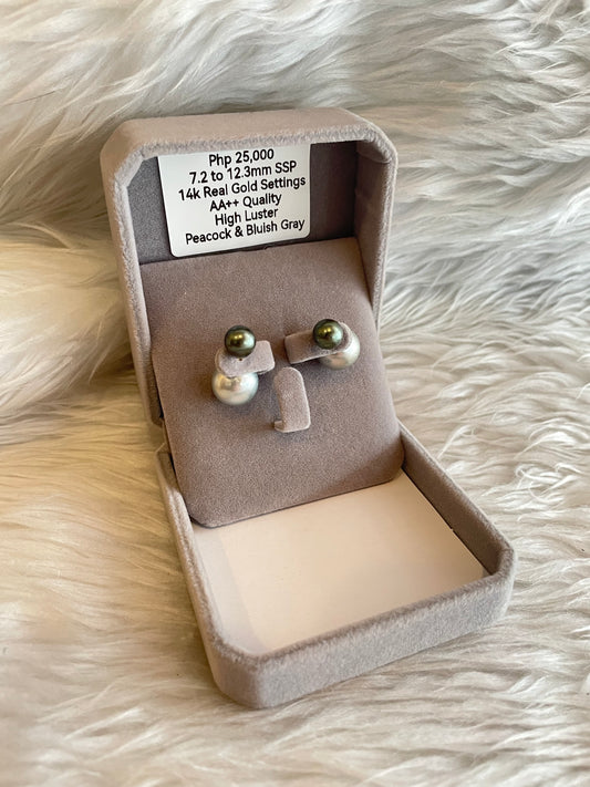7.2mm to 12.3mm Authentic Peacock and Bluish Gray Color South Sea Pearl Earrings in 14k Real Gold Settings
