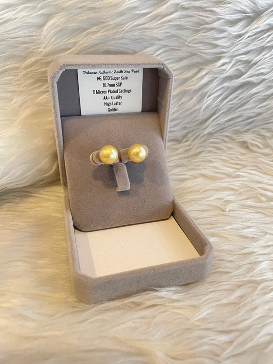 10.7mm Authentic Golden Color South Sea Pearl Earrings in 5 Micron Plated Settings