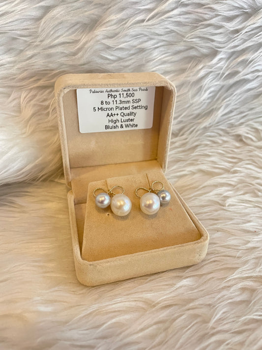 8mm to 11.3mm Authentic Bluish and White South Sea Pearl Earrings in 5 Micron Plated Settings