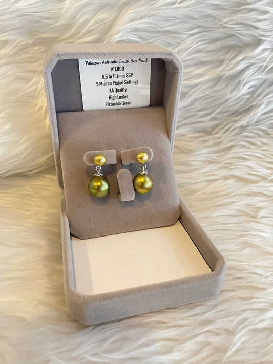 6.6mm to 11.7mm Authentic Pistachio Green Color South Sea Pearl Earrings in 5 Micron Plated Settings