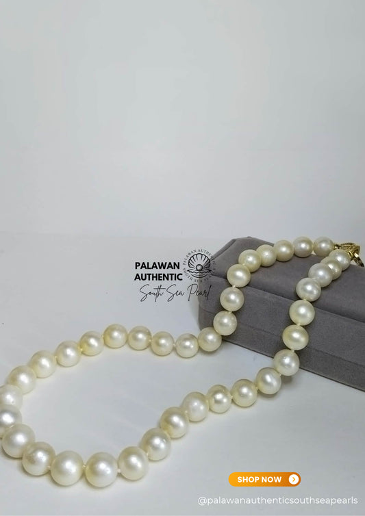 11 to 13mm Palawan Authentic Creamy White Color South Sea Pearl Choker in 5 Micron Lock Settings
