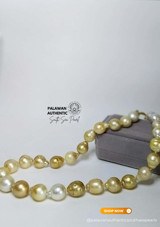 12.2 to 15.4mm Palawan Authentic Multicolor South Sea Pearl Choker in 5 Micron Lock Settings