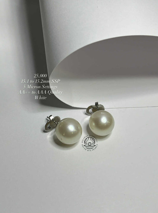 New Arrival! 15.1 to 15.2mm Palawan Authentic White South Sea Pearl Earrings in 5 Micron Plated