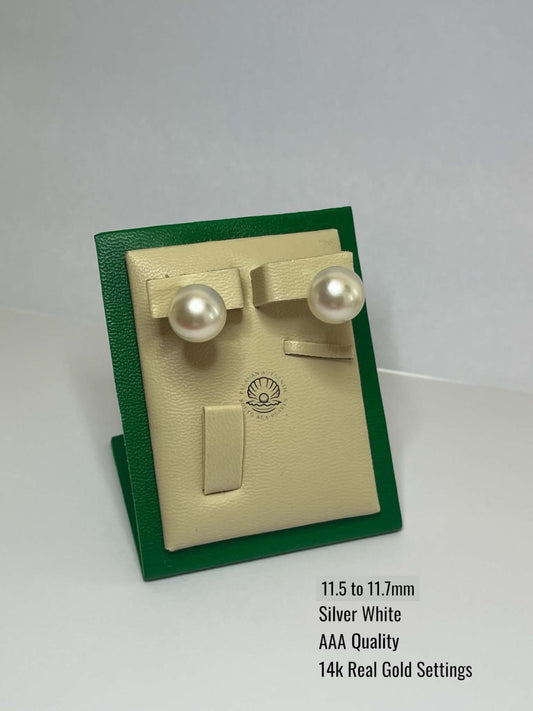 11.5 to 11.7mm Palawan Authentic Silver White Color South Sea Pearl Earrings in 14k Real Gold Settings