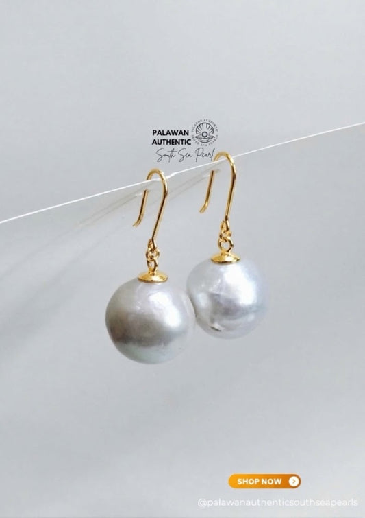 16mm Palawan Authentic Silver Gray Color South Sea Pearl Earrings in 14k Real Gold Settings