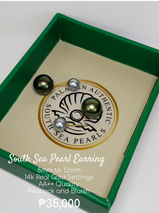 8mm to 12mm Palawan Authentic Bluish and Pistachio Green Color South Sea Pearl Earring in 14k Real Gold Settings