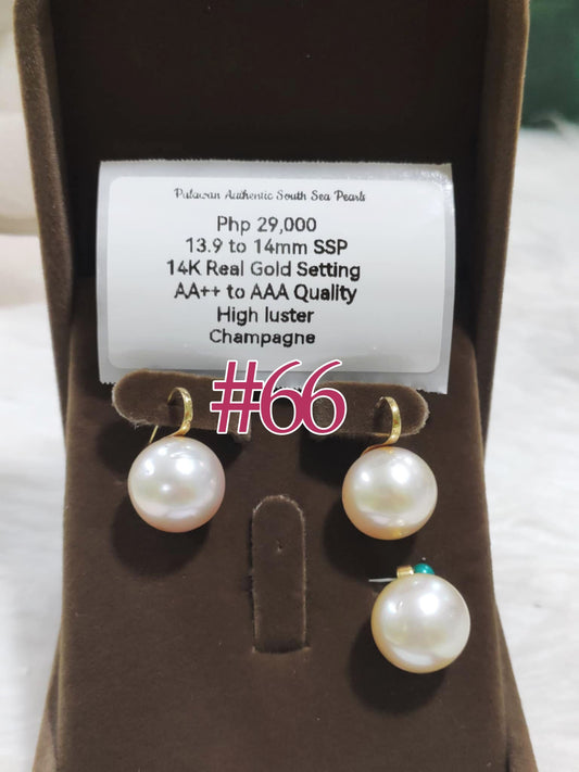 13.9mm to 14mm Authentic Champagne South Sea Pearls Set in 14k Gold