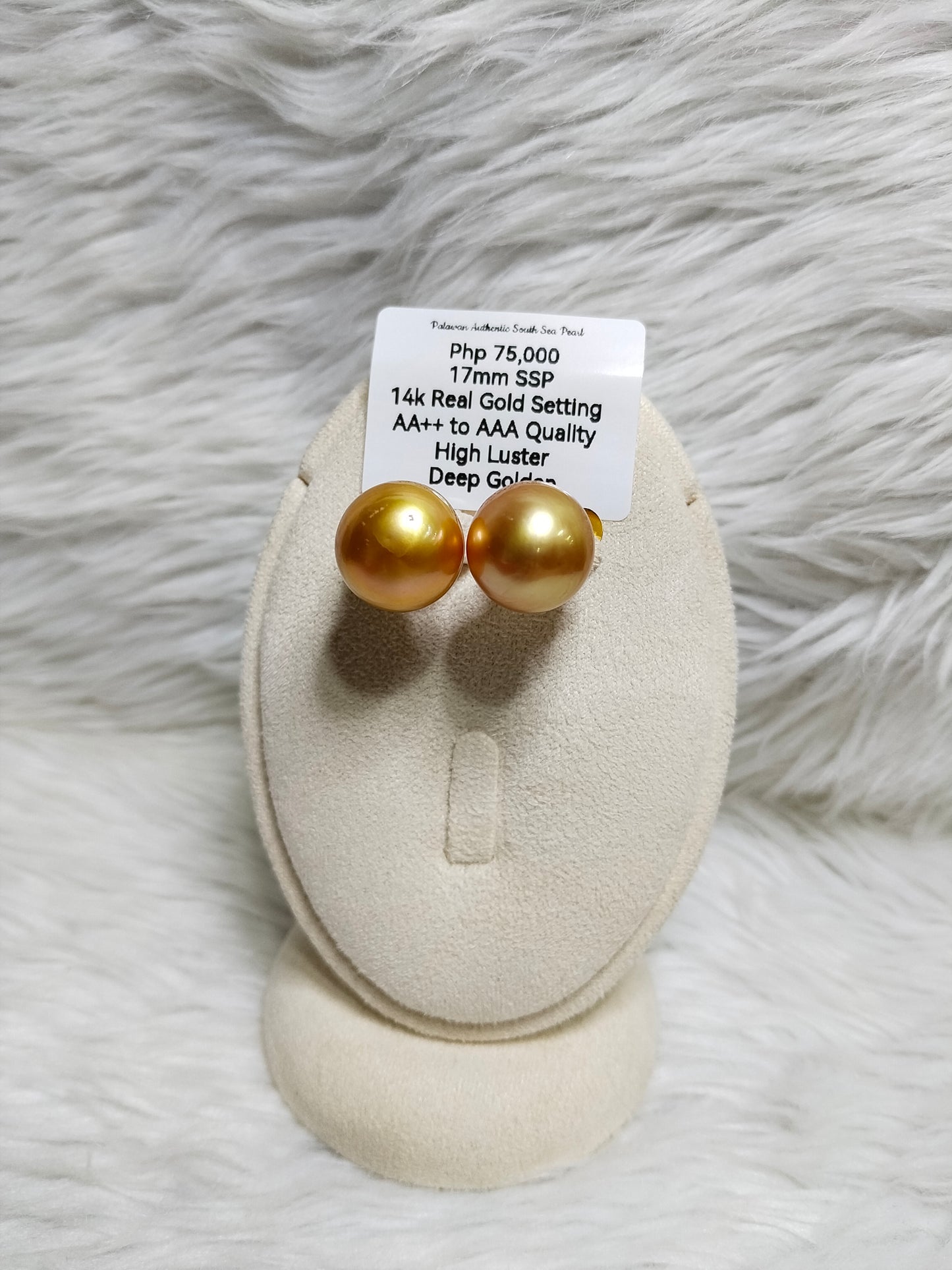 New Arrival! 17mm Authentic Deep Golden Color South Sea Pearl Earring in 14k Real Gold Settings
