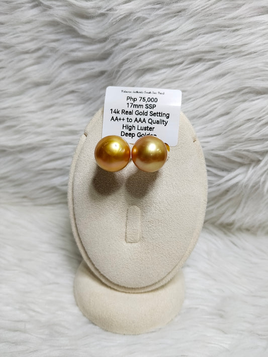 New Arrival! 17mm Authentic Deep Golden Color South Sea Pearl Earring in 14k Real Gold Settings