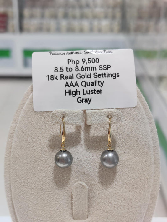 8.5mm to 8.6mm Authentic Gray Color South Sea Pearls Earrings in 18k Gold Settings