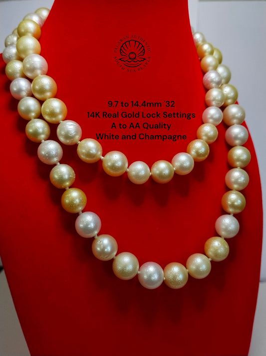 9.7 to 14.4mm Palawan Authentic White and Champagne Color South Sea Pearl Choker in 14K Real Gold Lock Settings
