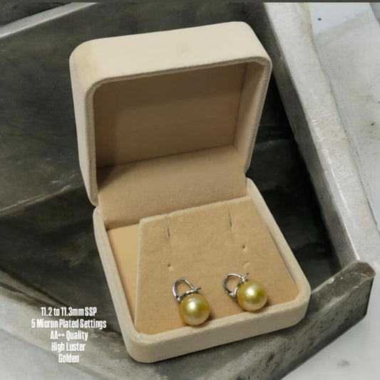 New Arrival! 11.2 to 11.3mm Authentic Golden Color South Sea Pearl Earrings in 5 Micron Plated Settings