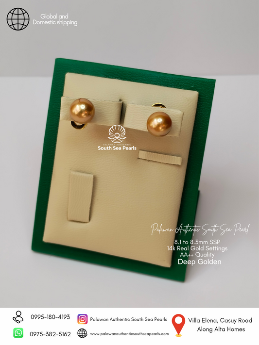 8.1mm to 8.3mm Palawan Authentic Deep Golden Color South Sea Pearl Earrings in 14k Real Gold Settings
