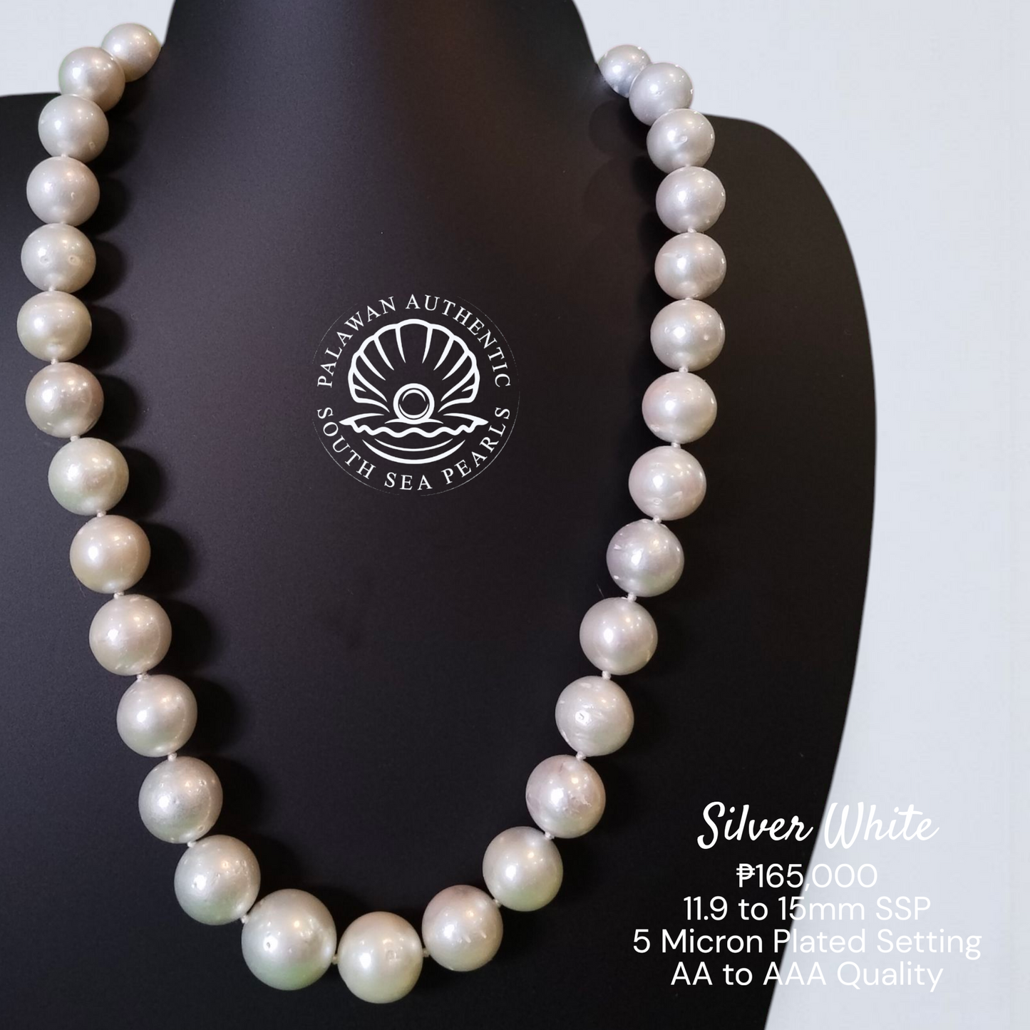 Palawan 11.9 to 15mm Authentic White South Sea Pearl Choker in 5 Micron Lock Setting.