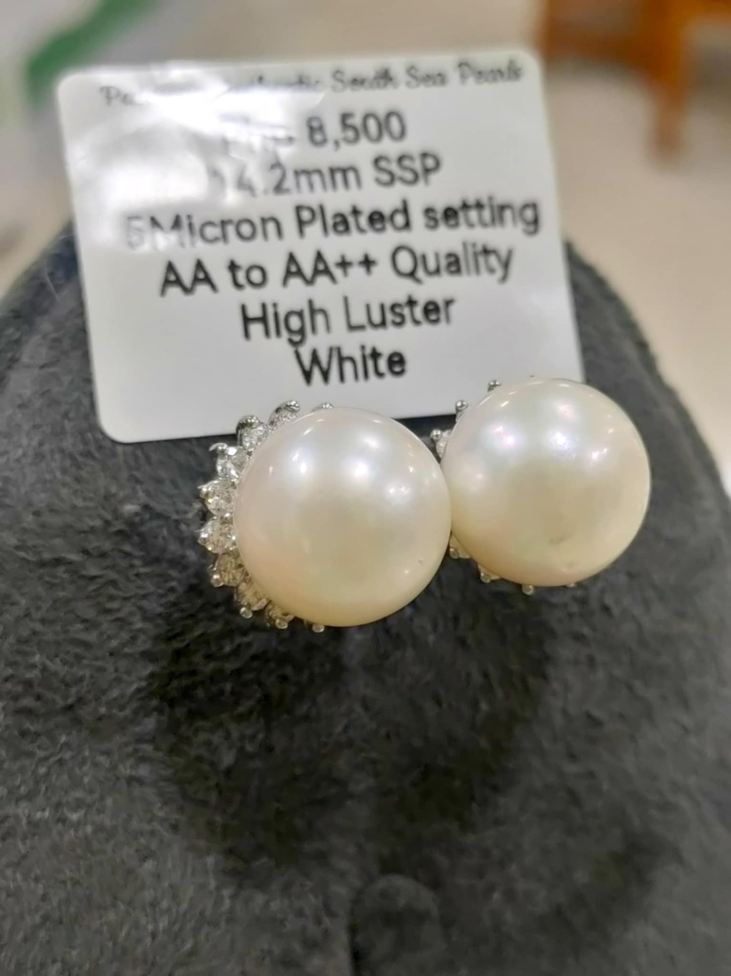 14.2mm Authentic White South Sea Pearls Earrings in 5 Micron Plated Settings