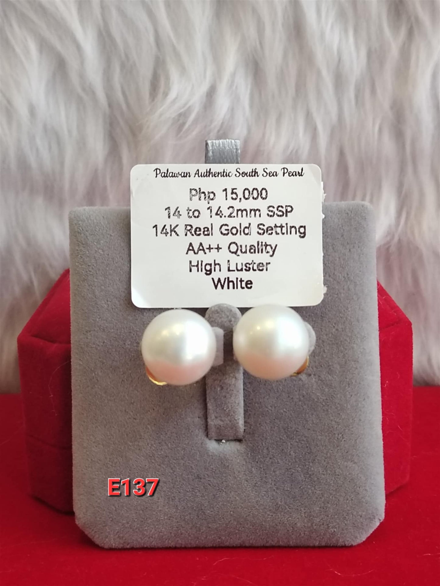 14mm to 14.2mm Authentic White South Sea Pearls Earrings in 14k Gold Settings