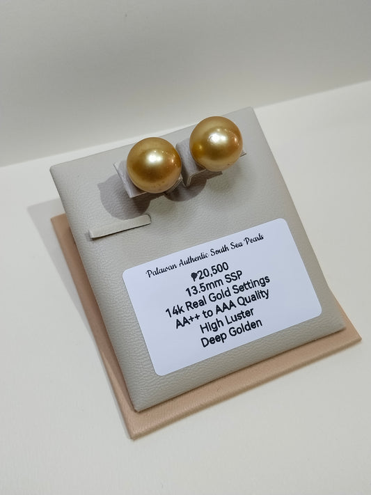 New Arrival! 13.5mm Palawan Authentic Deep Golden South Sea Pearl Earrings in 14k Real Gold Settings