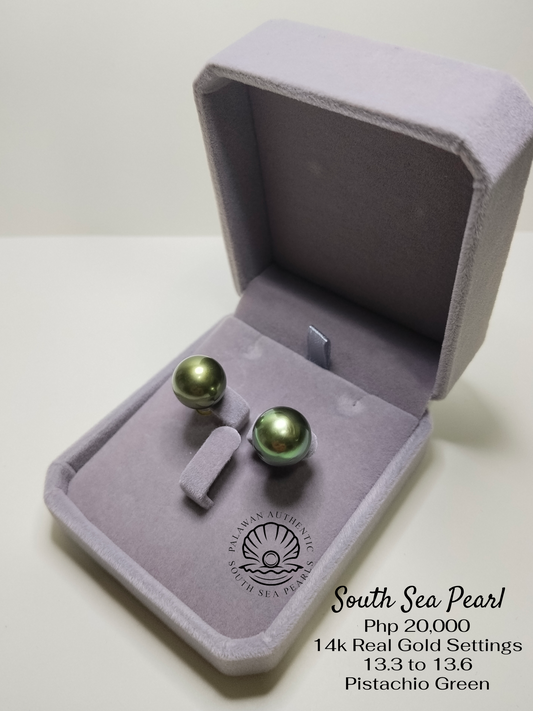 New Arrival! 13.3 to 13.6mm Palawan Authentic Pistachio Green South Sea Pearl Earrings in 14k Real Gold Settings