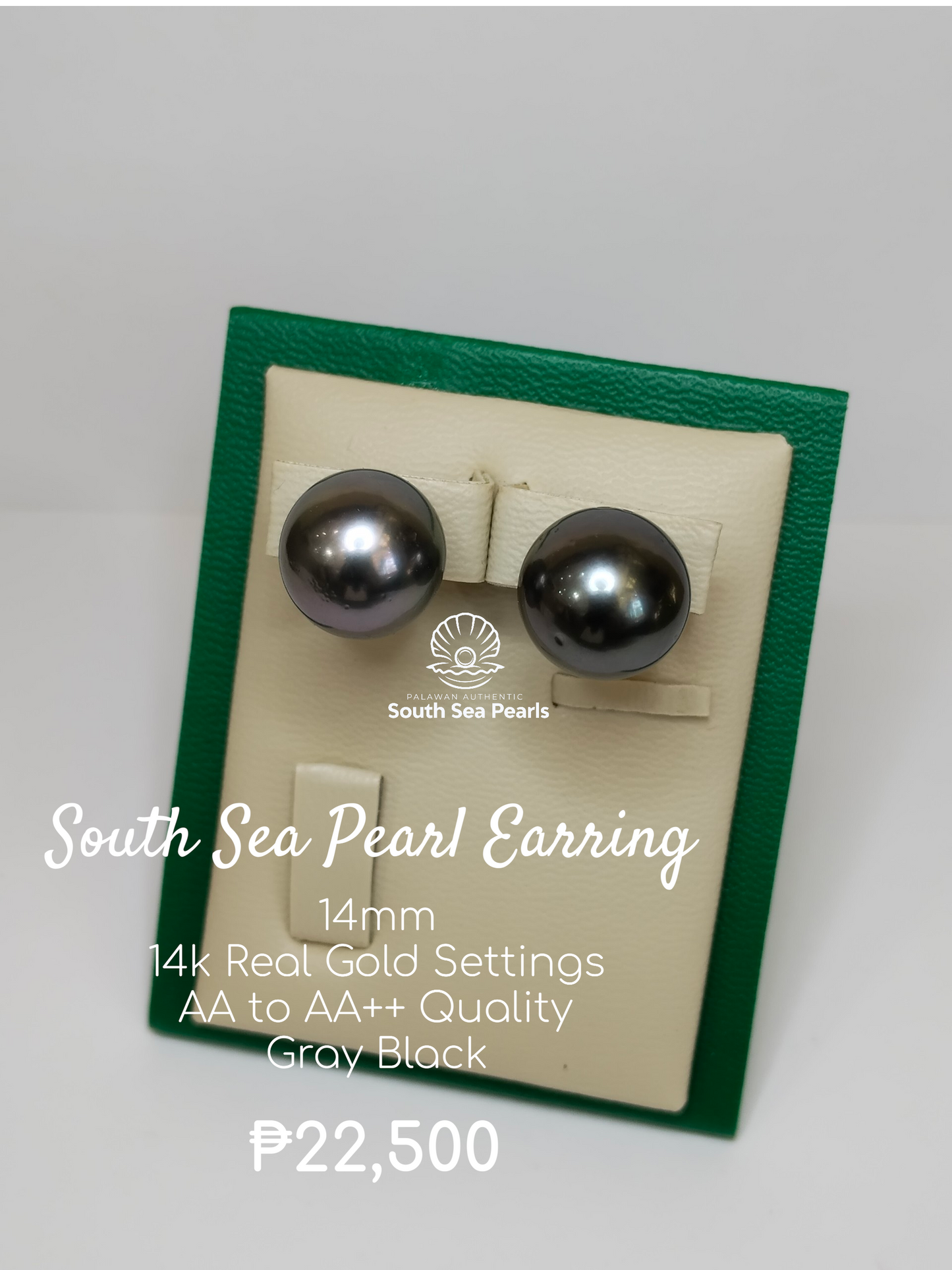 14mm Palawan Authentic Gray Black Color South Sea Pearl Earring in 14k Real Gold Settings