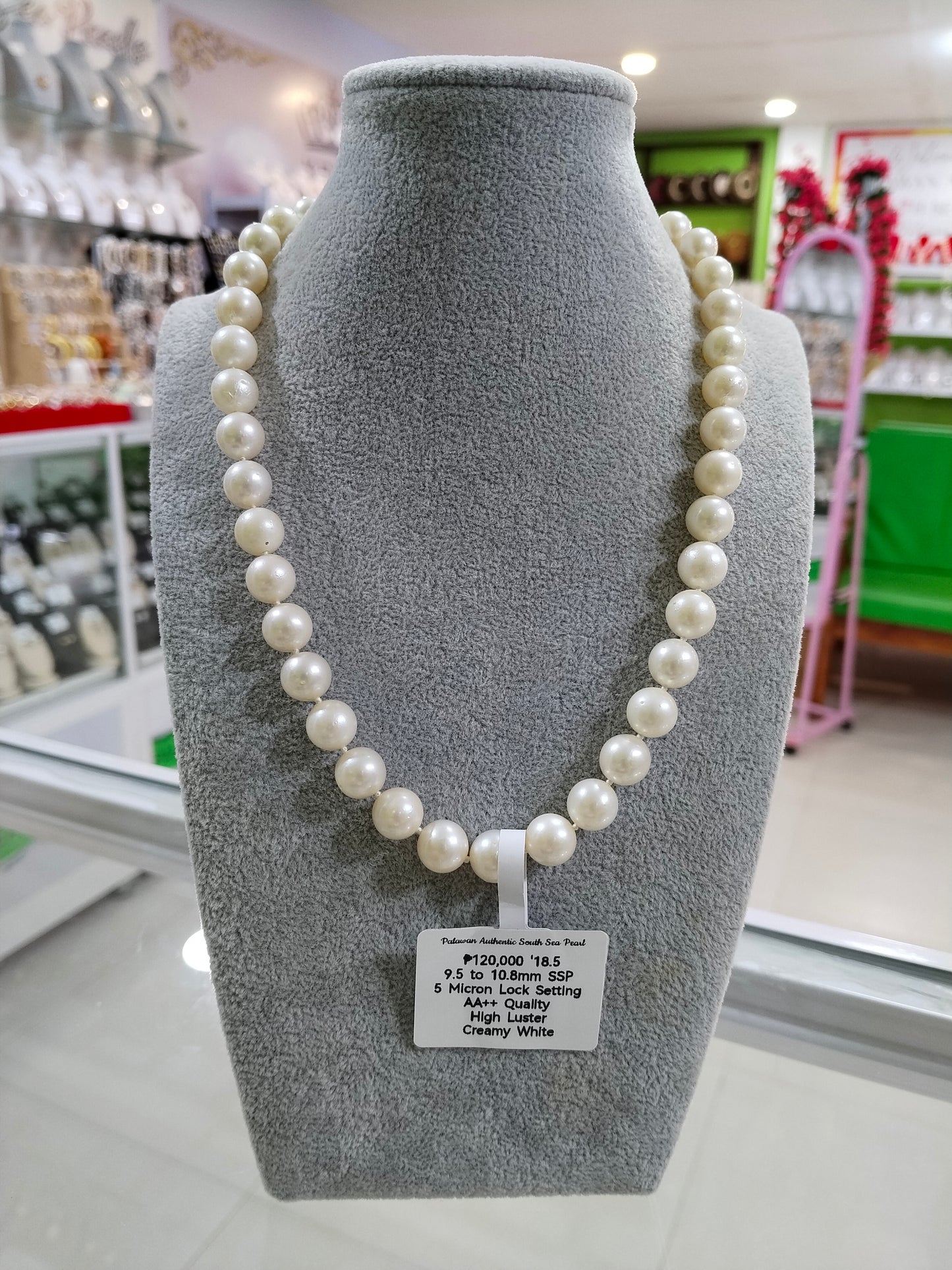 9.5mm to 10.8mm Authentic Creamy White South Sea Pearl Choker Necklace