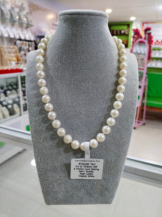 9.5mm to 10.8mm Authentic Creamy White South Sea Pearl Choker Necklace