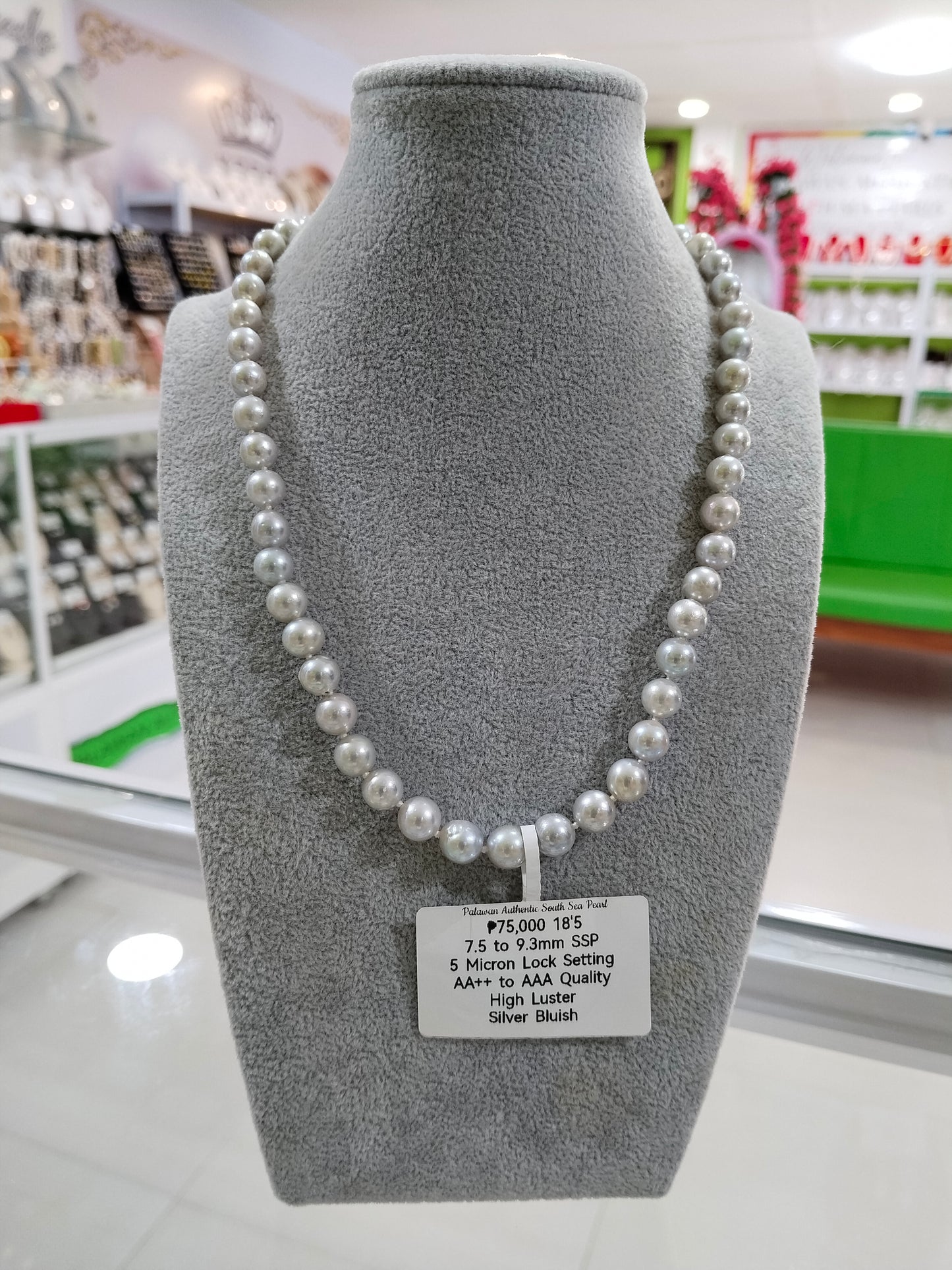 7.5mm to 9.3mm Authentic Silver Bluish Color South Sea Pearl Choker Necklace