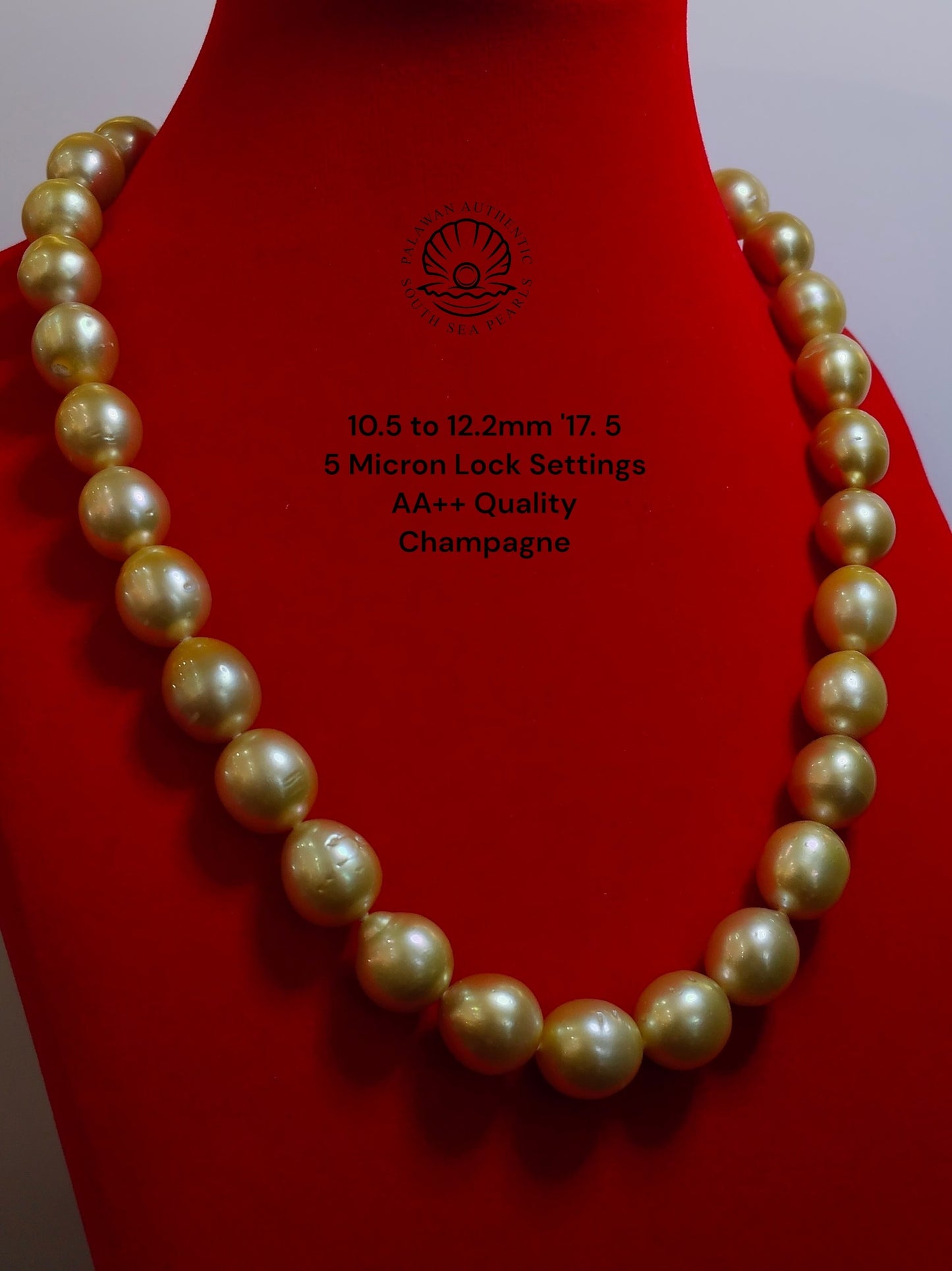 10.5 to 12.2mm Palawan Authentic Champagne Color South Sea Pearl Choker in 5 Micron Lock Settings