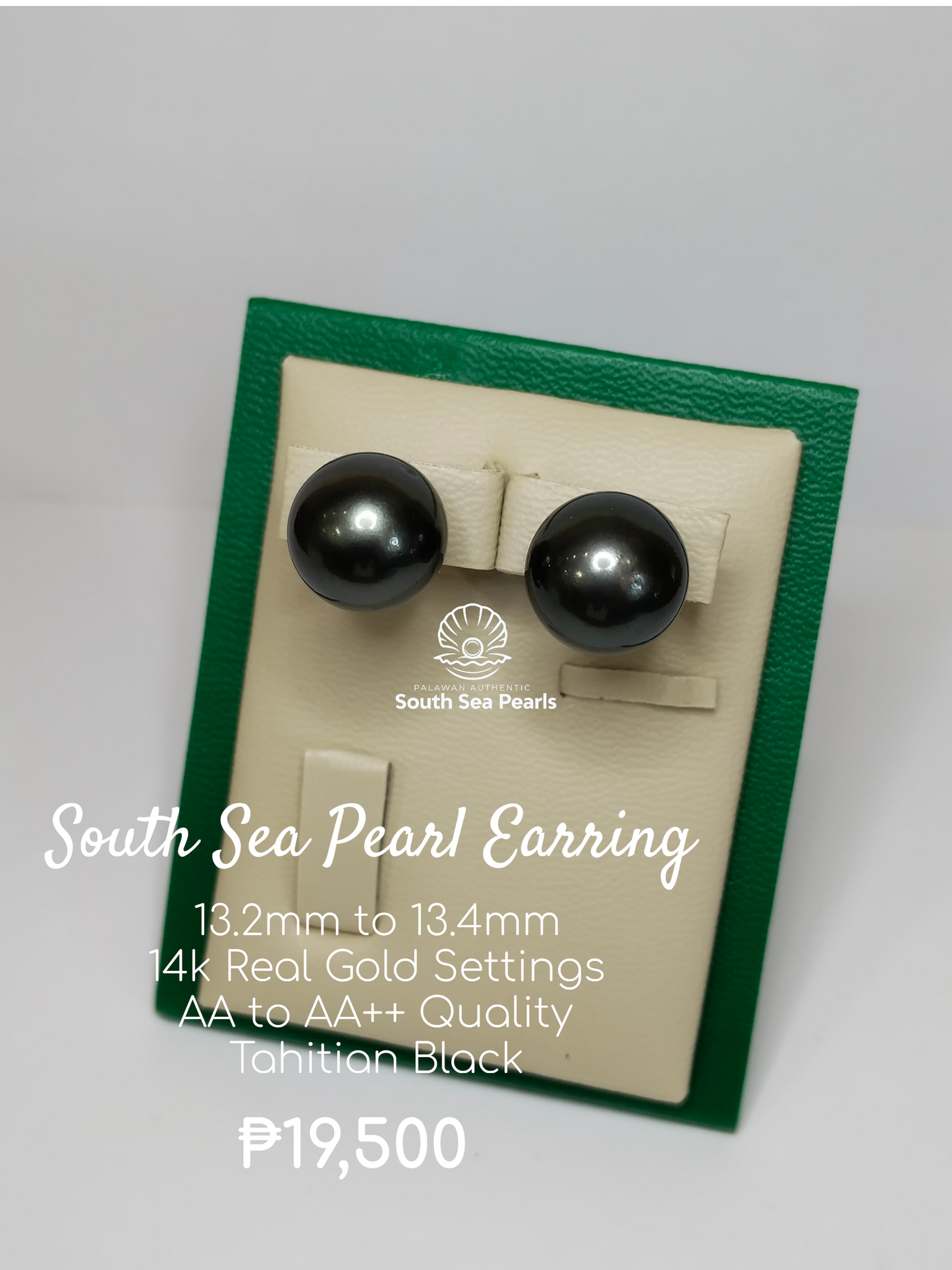 13.2mm to 13.4mm Palawan Authentic Tahitian Black Color South Sea Pearl Earring in 14k Real Gold Settings