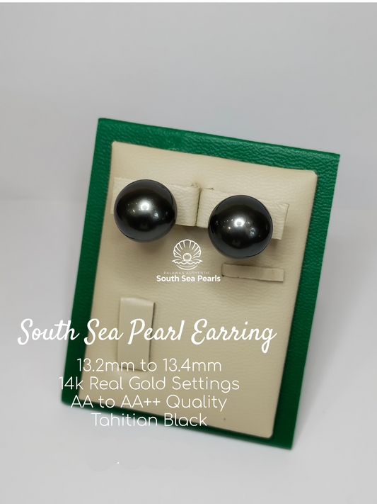 13.2mm to 13.4mm Palawan Authentic Tahitian Black Color South Sea Pearl Earring in 14k Real Gold Settings