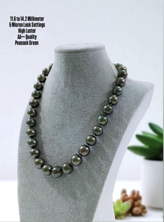 New Arrival! 11.6 to 14.2mm Peacock Green Color South Sea Pearl Choker Necklace in 5 Micron Settings