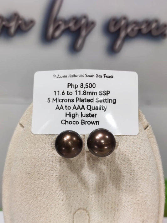11.6mm to 11.8mm Authentic Choco Brown South Sea Pearls Earrings in 5 Microns Plated Settings