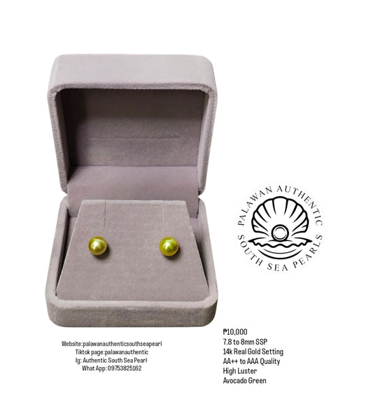 New Arrival! 7.8 to 8mm Authentic Avocado Green Color South Sea Pearl Earrings in 14k Real Gold Setting