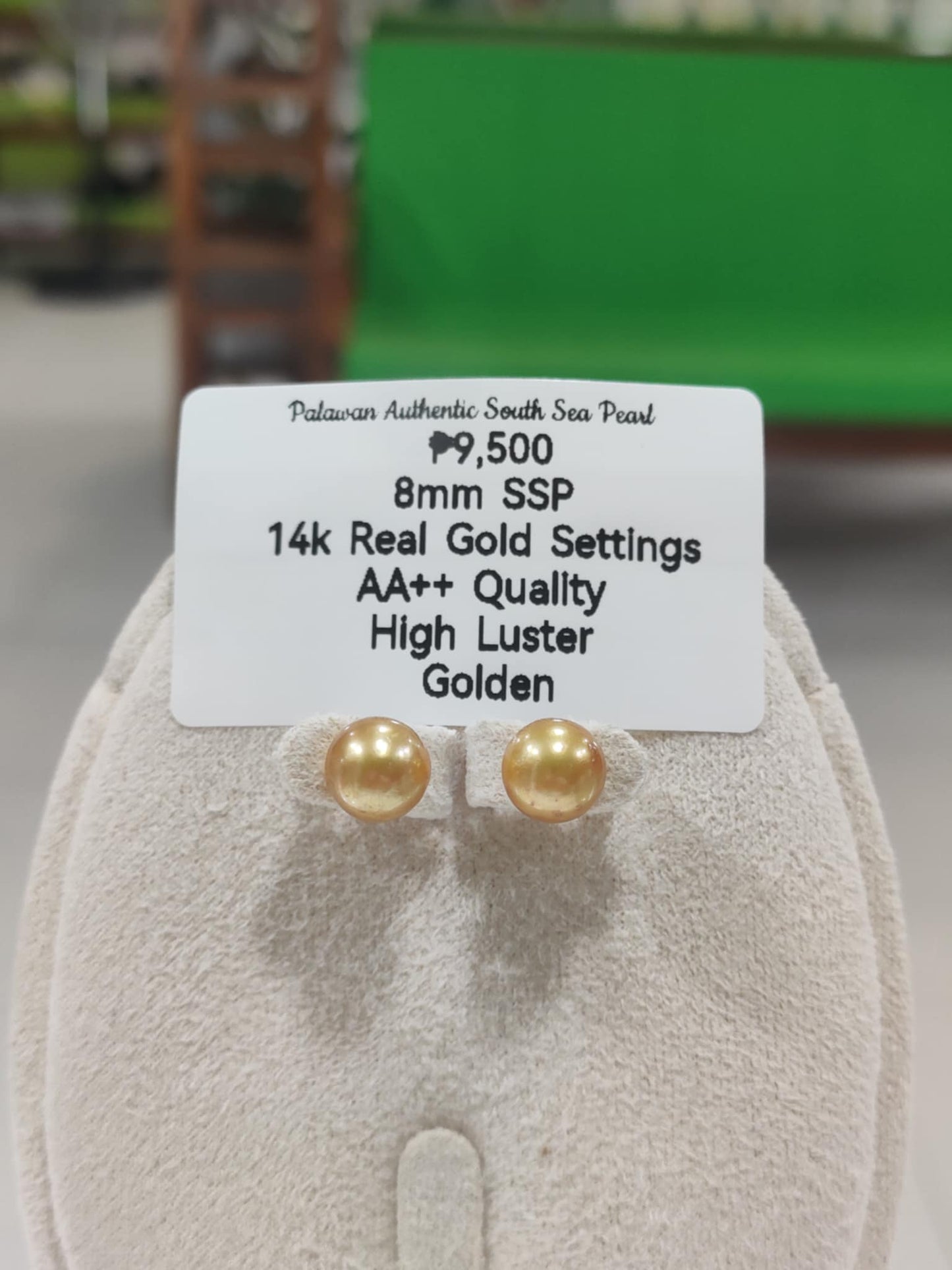New Arrival! 8mm Authentic Golden South Sea Pearls Earrings in 14k Gold Settings