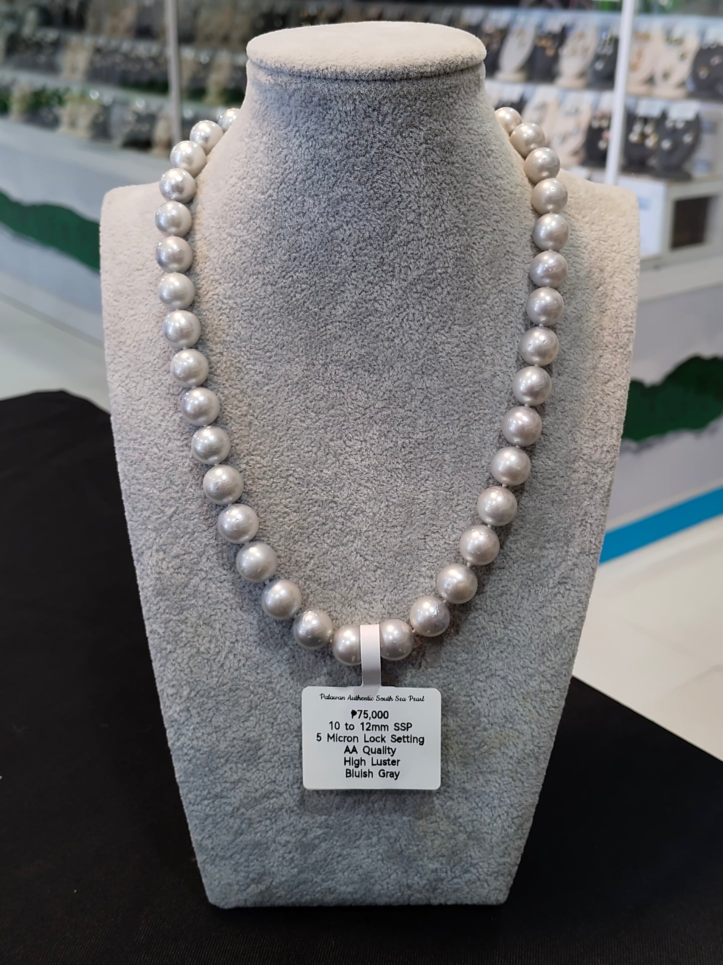 New Arrival! Authentic 10mm to 12mm Bluish Gray Color South Sea Pearl Choker Necklaces