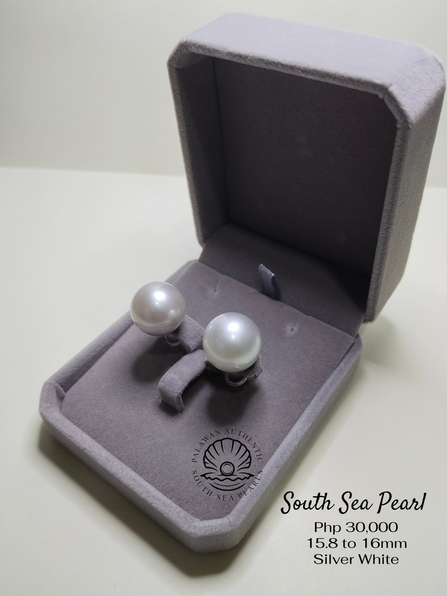 New Arrival! 15.8 to 16mm Palawan Authentic Silver White Sea Pearl Earrings in Stainless Settings