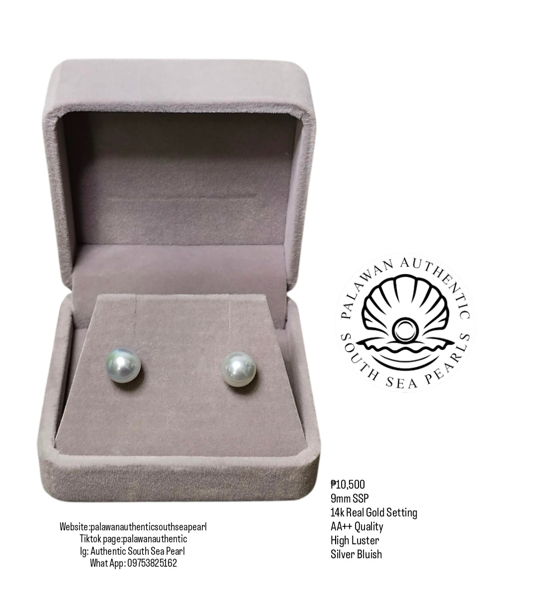 New Arrival! Authentic Silver Bluish Color South Sea Pearl Earring in 14k Real Gold Setting