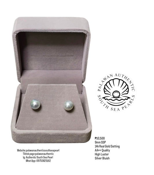 New Arrival! Authentic Silver Bluish Color South Sea Pearl Earring in 14k Real Gold Setting