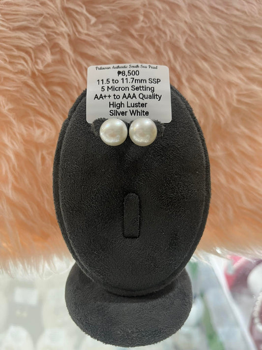 11.5 to 11.7mm Authentic Silver White South Sea Pearl Set in 5 Micron Settings
