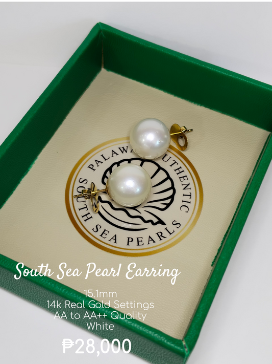 15.1mm Palawan Authentic White Color South Sea Pearl Earring in 14k Real Gold Settings