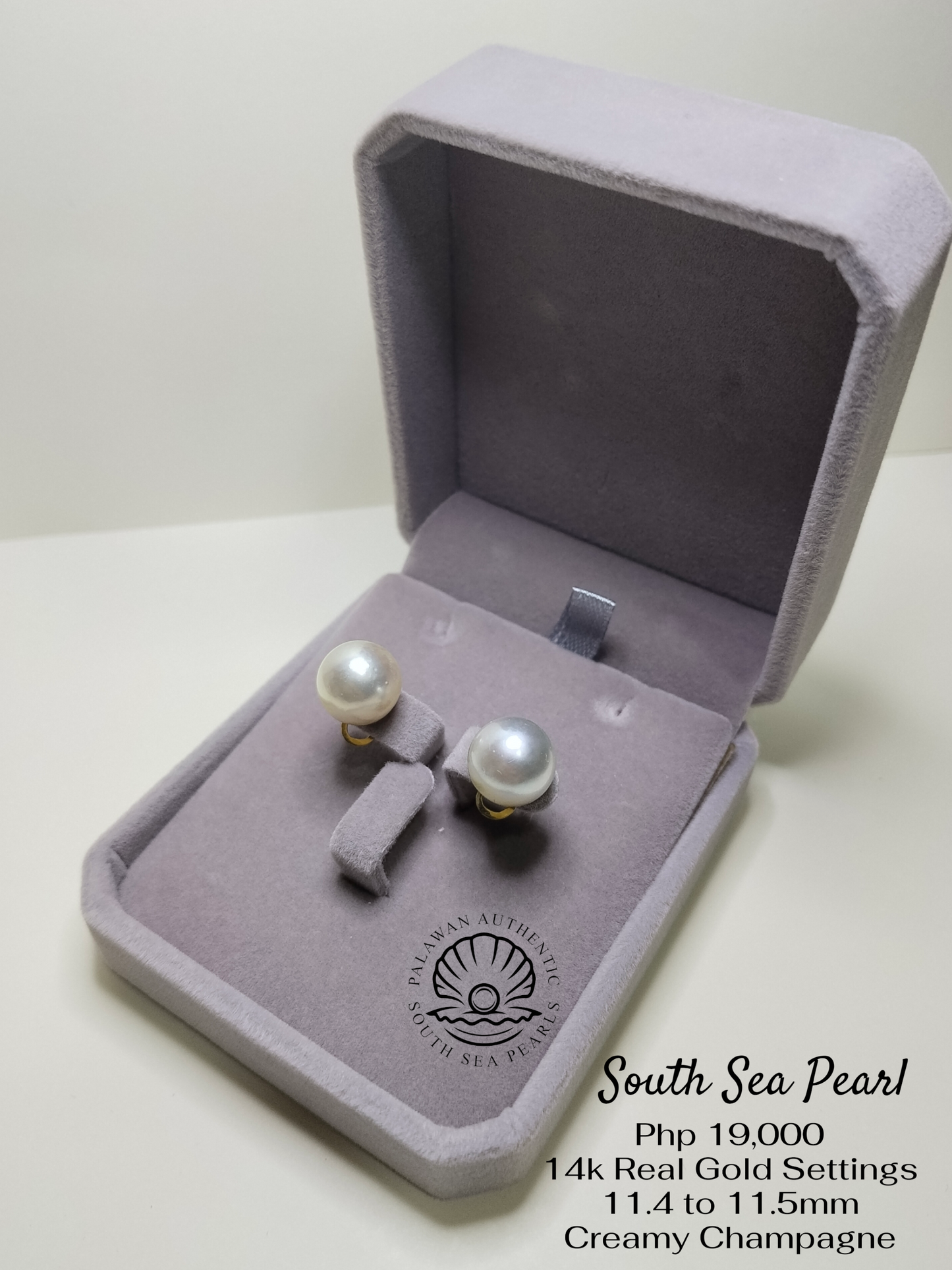 New Arrival! 11.4 to 11.5mm Palawan Authentic Creamy Champagne South Sea Pearl Earrings in 14k Real Gold Settings