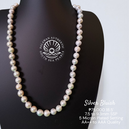 Palawan 7.5 to 9.3mm Authentic White South Sea Pearl Choker in 5  Lock Setting.