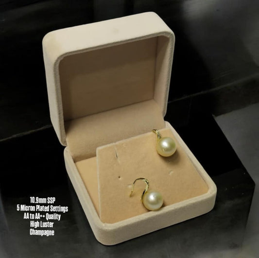 New Arrival! 10.9mm Authentic Champagne Color South Sea Pearl Earrings in 5 Micron Plated Settings