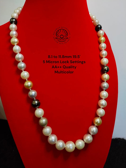 8.1 to 11.8mm Palawan Authentic Multicolor South Sea Pearl Choker in 5 Micron Lock Settings