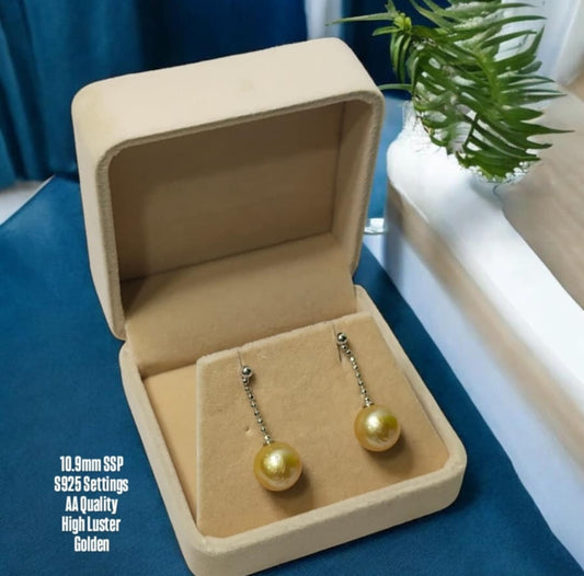 New Arrival! 10.9mm Authentic Golden Color South Sea Pearl Earrings in S925 Settings